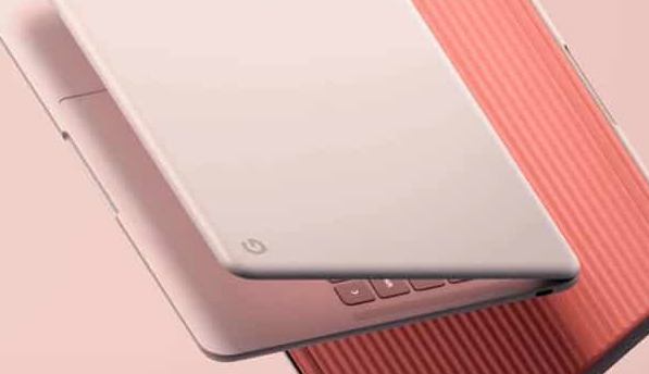 Google PixelBook Go (Google)